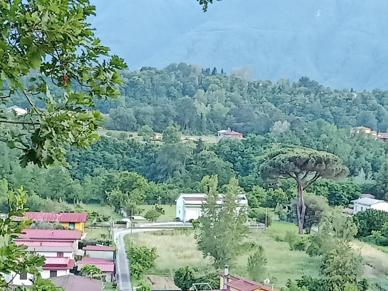 Affittacamere La Foresta Di Sopra Barga Exterior photo
