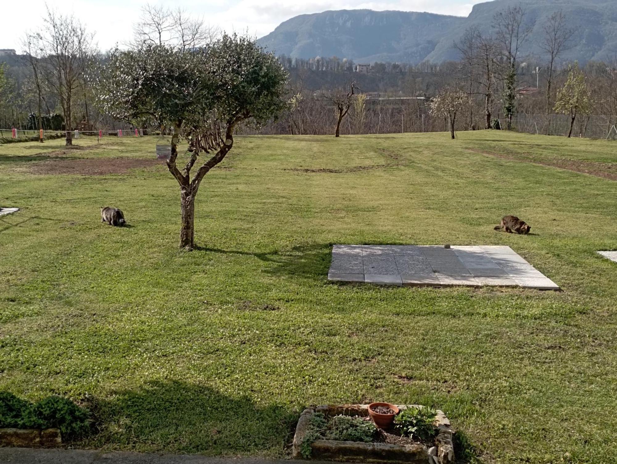 Affittacamere La Foresta Di Sopra Barga Exterior photo